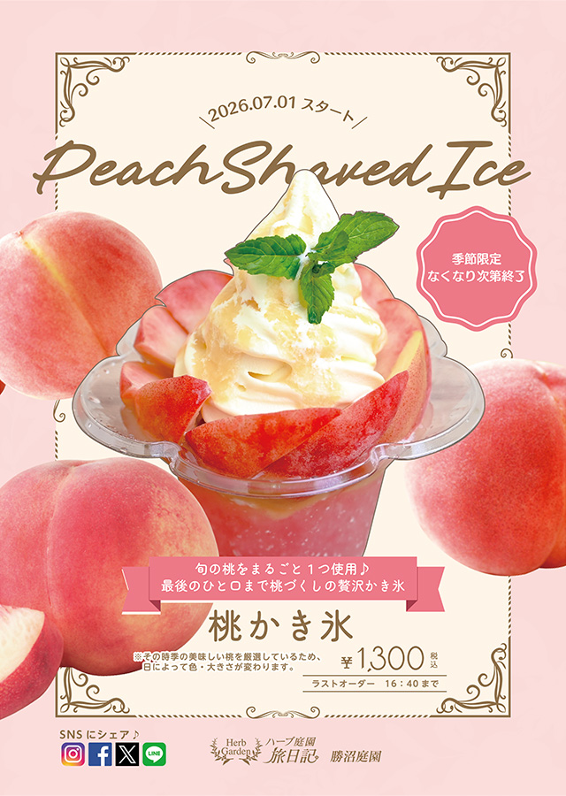 旬の桃を丸ごと1個使った、濃厚でシャリシャリ食感の桃かき氷。