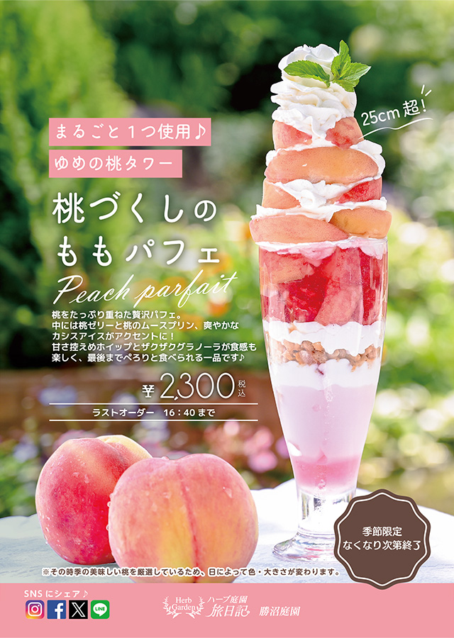 旬の桃を丸ごと1個使用した、25cm超えの桃パフェ。