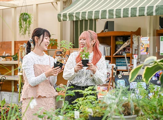 ハーブランドショップ 写真11