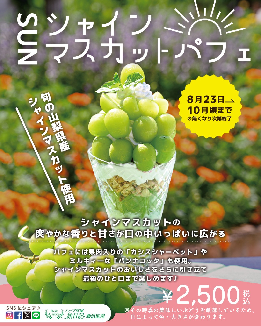 パフェ3