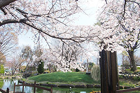 3月のハーブ庭園 旅日記 勝沼庭園の写真5