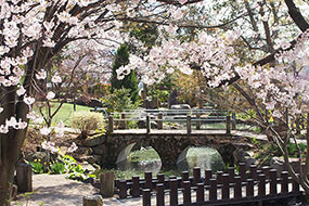 4月のハーブ庭園 旅日記 勝沼庭園の写真9