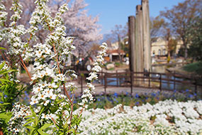 4月のハーブ庭園 旅日記 勝沼庭園の写真20