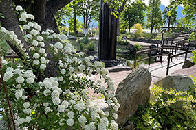 5月のハーブ庭園 旅日記 勝沼庭園の写真26