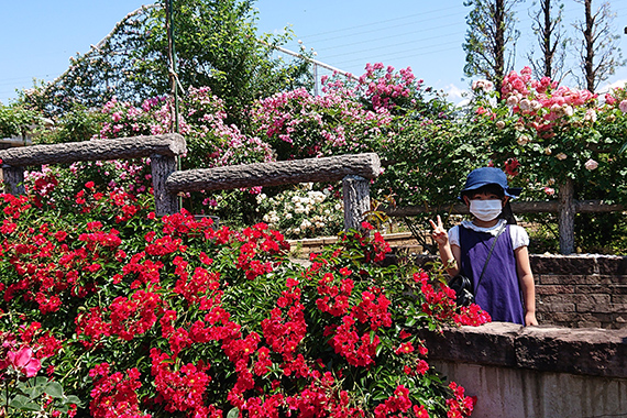 6月の梅雨の旅行におすすめは紫陽花とハーブが美しく咲く観光スポット
