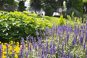 7月のハーブ庭園 旅日記 勝沼庭園の写真8