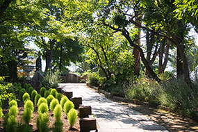 7月のハーブ庭園 旅日記 勝沼庭園の写真10