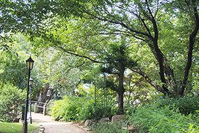 8月のハーブ庭園 旅日記 勝沼庭園の写真18