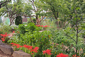 9月のハーブ庭園 旅日記 勝沼庭園の写真7