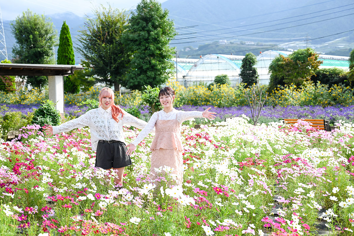 9月のハーブ庭園 旅日記 勝沼庭園の写真1