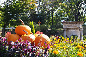 10月のハーブ庭園 旅日記 勝沼庭園の写真13