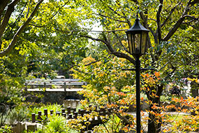 10月のハーブ庭園 旅日記 勝沼庭園の写真16