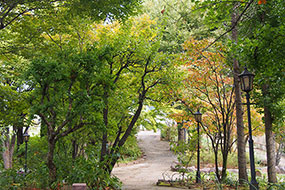 10月のハーブ庭園 旅日記 勝沼庭園の写真17