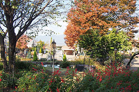 11月のハーブ庭園 旅日記 勝沼庭園の写真2