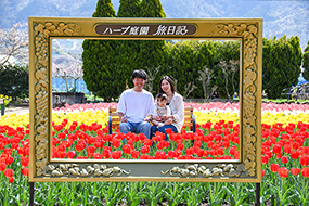 ハーブ庭園 旅日記 勝沼庭園のチューリップ写真21