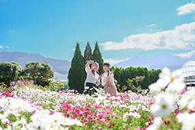 ハーブ庭園 旅日記 勝沼庭園のコスモス写真10