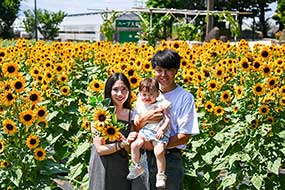 ハーブ庭園 旅日記 勝沼庭園のひまわり写真17