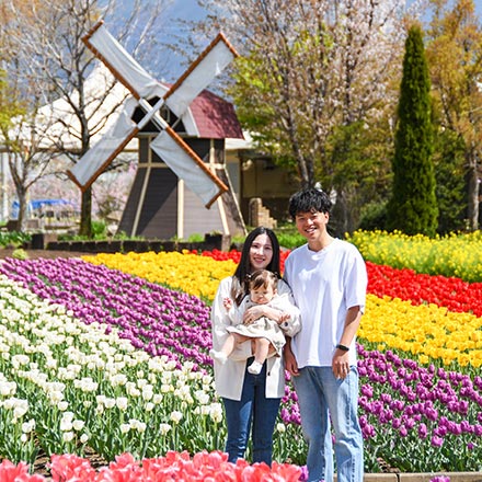 ハーブ庭園の4月