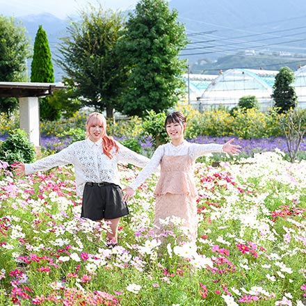 ハーブ庭園の9月