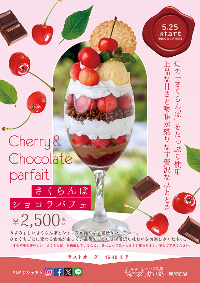2026年さくらんぼパフェ